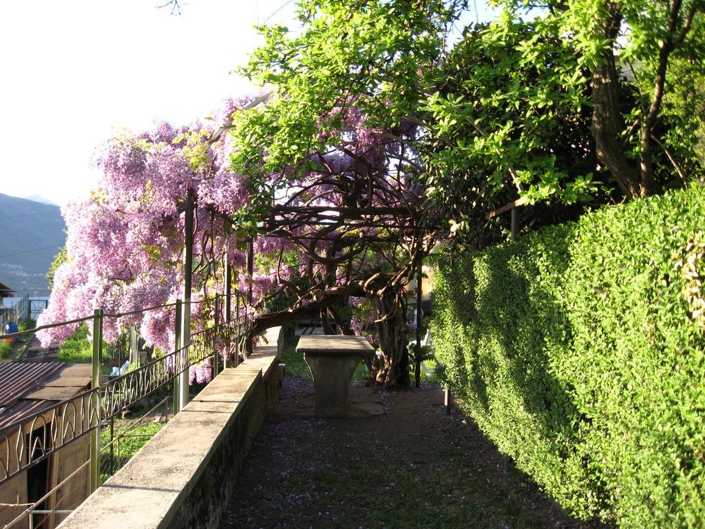 Casa Gibiseo Apartment เบลลาโน ภายนอก รูปภาพ